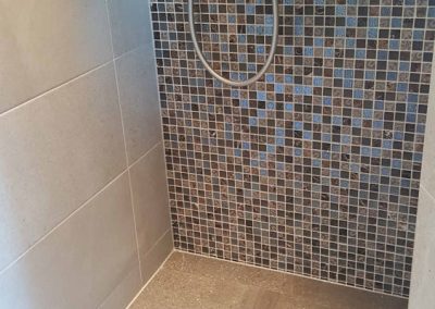 ensuite-and-steam-room-(8)